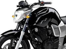 ZF-16 MIDNIGHT BLACK